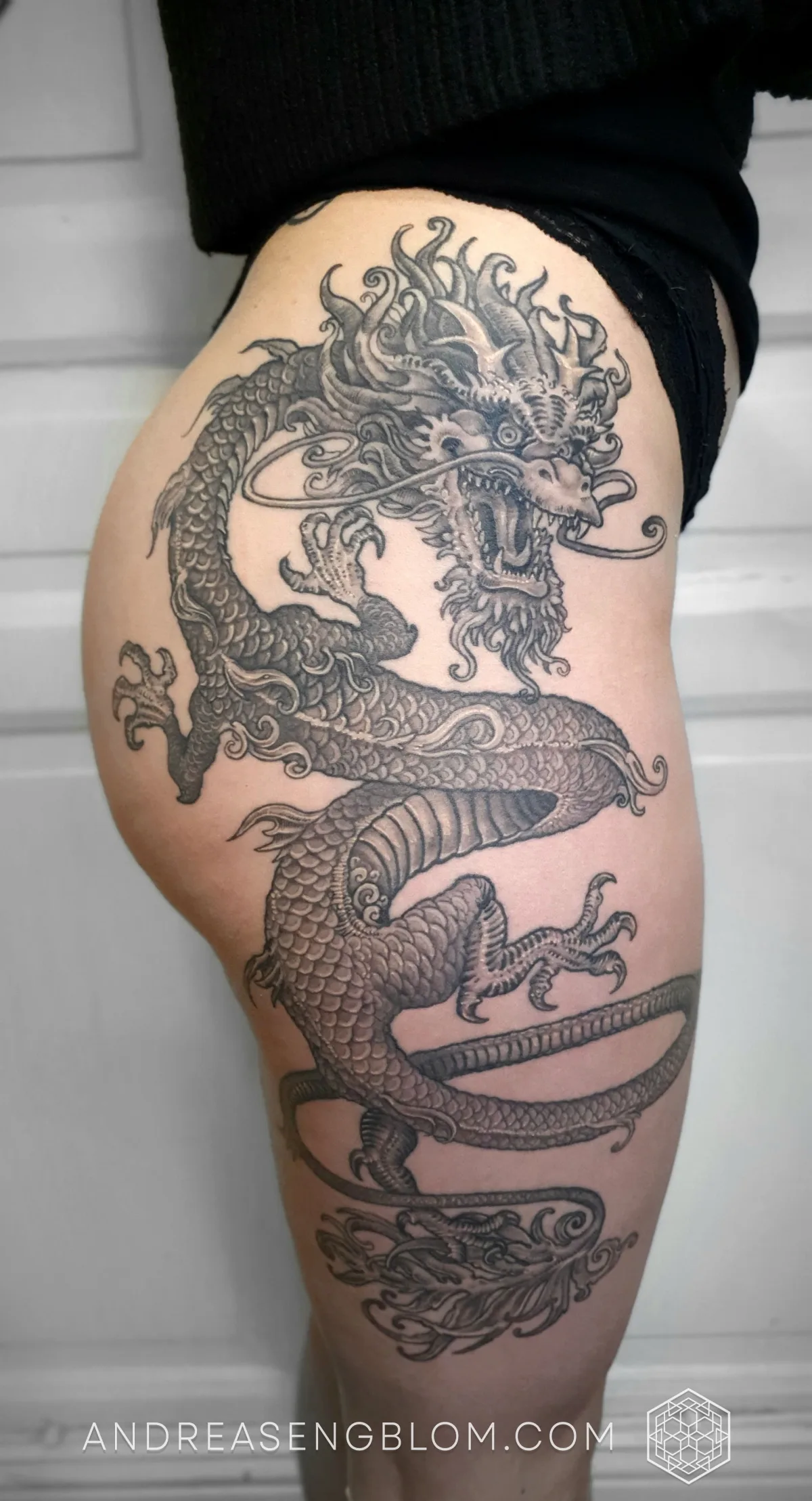 Kinesisk Drake - Neo Traditional